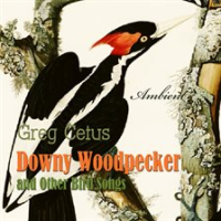 Downy_Woodpecker_And_Other_Bird_Songs